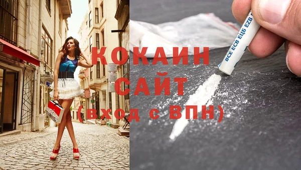 ГАЛЛЮЦИНОГЕННЫЕ ГРИБЫ Богданович