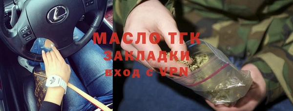 ГАЛЛЮЦИНОГЕННЫЕ ГРИБЫ Богданович