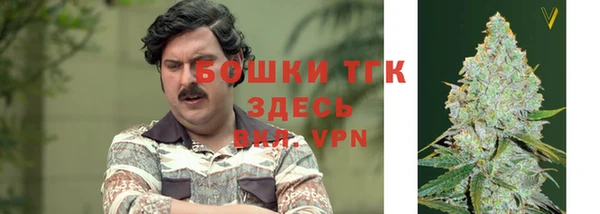 PSILOCYBIN Белокуриха