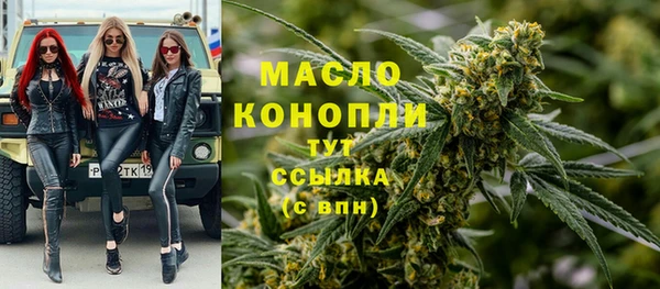 ГАЛЛЮЦИНОГЕННЫЕ ГРИБЫ Богданович